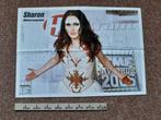 Poster Within Temptation Maat A2 44x62 cm Hitkrant TMF Live, Rechthoekig Liggend, Ophalen of Verzenden, Zo goed als nieuw, A1 t/m A3