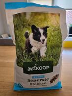 Puppy geperste brokken (welkoop), Dieren en Toebehoren, Ophalen of Verzenden, Hond