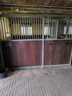 Wij hebben een plekje voor een gezellige paardenliefhebber, Weidegang