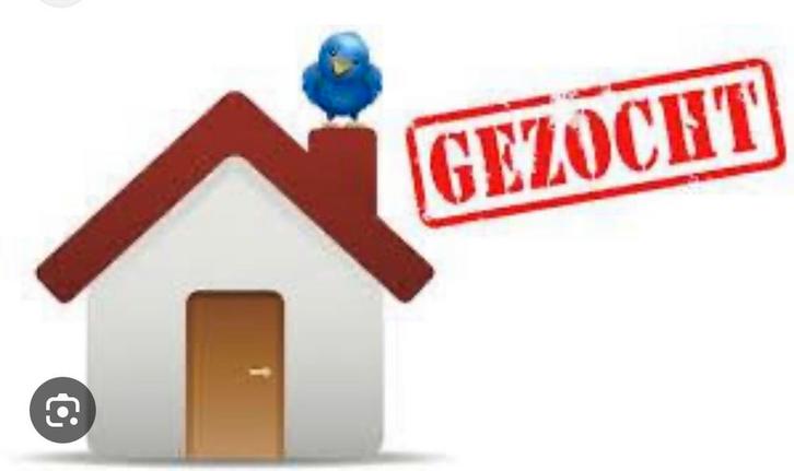 Huur huis gezocht, Huizen en Kamers, Kamers te huur