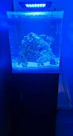 Blue marine  zeeaquarium, Dieren en Toebehoren, Vissen | Aquaria en Toebehoren, Ophalen of Verzenden, Gevuld zeewateraquarium