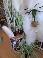 kunst  pluimen, Huis en Inrichting, Ophalen, Zo goed als nieuw, Binnen