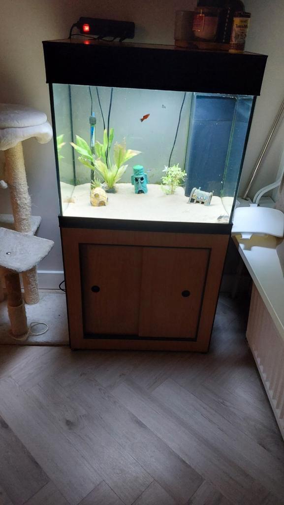 Aquarium, bioloog compleet, Dieren en Toebehoren, Vissen | Aquaria en Toebehoren, Gebruikt, Leeg aquarium, Ophalen of Verzenden