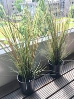 2 x Kunstgras plant hoog met zwart aardewerk pot mooie look, Ophalen, Zo goed als nieuw, Binnen