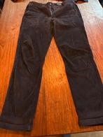 MR MARVIS 3 broeken the cords maat 36 32, Ophalen, Zo goed als nieuw, Overige maten, Blauw
