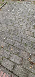 Gebruikte betonklinker in diverse kleuren, Tuin en Terras, Tegels en Klinkers, Ophalen, Gebruikt, Klinkers, 10 m² of meer