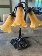 Murano tulpen lamp, Ophalen