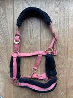 Roze halster cob, Ophalen of Verzenden, Overige soorten