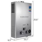 Doorstroomverwarmer, 24 kW, LPG, 12 l/min, roestvrij staal,, Nieuw, Rvs of Chroom, Ophalen of Verzenden