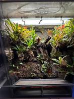 Rana paludarium compleet, Ophalen, Zo goed als nieuw