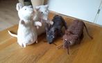 4 x ikea gosig knuffel muis wit, bruin, grijs, Overige typen, Ophalen of Verzenden, Zo goed als nieuw