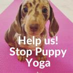 Stop yoga met met puppies, Dieren en Toebehoren, Honden | Niet-rashonden, Particulier, Meerdere, 8 tot 15 weken, Meerdere dieren