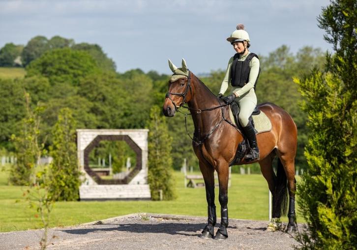 LeMieux Suede cc spring dekje Fern SALE, Dieren en Toebehoren, Paarden en Pony's | Dekens en Dekjes, Nieuw, Dekje, Ophalen of Verzenden