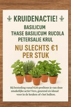 Biologische Groente- & kruidenplanten uit het corversbos, Ophalen, Volle zon, Groenteplanten, Eenjarig