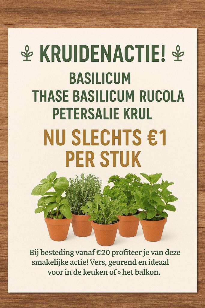 Biologische Groente- & kruidenplanten uit het corversbos, Tuin en Terras, Planten | Tuinplanten, Eenjarig, Groenteplanten, Volle zon