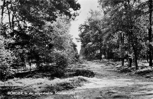 (380-276-021) Borger Staatsbossen, Verzamelen, Ansichtkaarten | Nederland, Drenthe, Verzenden