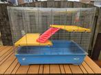 Rattenhok/kooi, Dieren en Toebehoren, Knaagdieren en Konijnen | Hokken en Kooien, Ophalen of Verzenden, Hok, 90 cm of meer