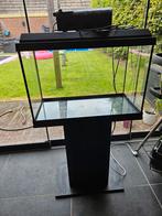 Juwel Aquarium op Meubel + Filter + LED Controller, Ophalen, Gebruikt, Leeg aquarium