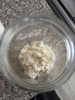 Kefirkorrels melkkefir, Ophalen of Verzenden