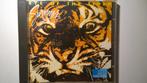 Survivor - Eye Of The Tiger, Ophalen of Verzenden, Zo goed als nieuw, Poprock