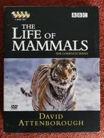 Dvd Life of Mammals - David Attenborough, Cd's en Dvd's, Dvd's | Documentaire en Educatief, Natuur, Ophalen of Verzenden, Zo goed als nieuw