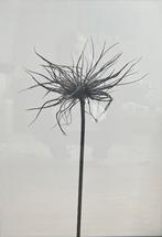 3 posters van Desenio 50x70, Verzamelen, Posters, Ophalen, Zo goed als nieuw, A1 t/m A3