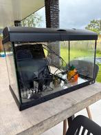 Aquarium, Dieren en Toebehoren, Vissen | Aquaria en Toebehoren, Ophalen, Gebruikt, Leeg aquarium