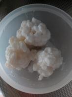 Kefir op geitenmelk, Diversen, Levensmiddelen, Ophalen