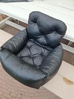 Autostoel voor hond, Dieren en Toebehoren, Ophalen, Gebruikt