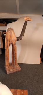 Dromedaris hout., Ophalen