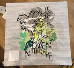 Tricot, 120 cm of meer, Ophalen of Verzenden, Katoen, Nieuw