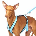 Sofa dogwear harness S3 tuig Ytuig, Ophalen of Verzenden, Zo goed als nieuw