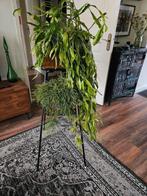 vintage diatafels, plantentafel, plantenstandaard, Antiek en Kunst, Ophalen