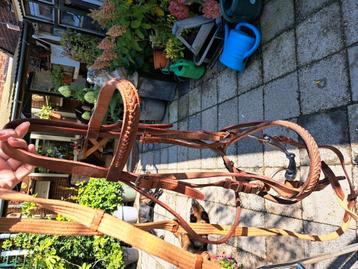 Compleet mooi Leer hoofdstel cob/ full beschikbaar voor biedingen