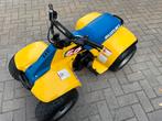 GEZOCHT SUZUKI QUADS 90 en 50 cc goede prijs, Fietsen en Brommers, Minibikes, Midibikes en Pitbikes, Ophalen of Verzenden, Zo goed als nieuw