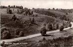 De Steeg - Weg naar de Posbank (1965), Verzamelen, Ansichtkaarten | Nederland, Verzenden, 1960 tot 1980, Gelopen, Gelderland