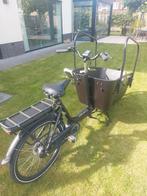 Qivelo Bakfiets, Gebruikt, 3 kinderen, Elektrisch, Ophalen