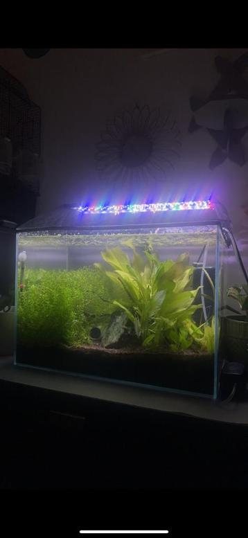 Aquarium Superfish Scaper 60 beschikbaar voor biedingen