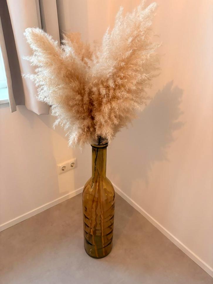 Glazen vaas met pluimen, Huis en Inrichting, Woonaccessoires | Vazen, Zo goed als nieuw, Overige kleuren, Minder dan 50 cm, Glas