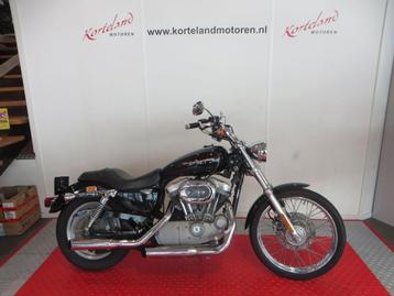 HARLEY-DAVIDSON SPORTSTER CUSTOM  XL 53 C (bj 2004) beschikbaar voor biedingen