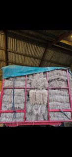 Suiker en eiwit arm hooi, Ophalen of Verzenden, Vee