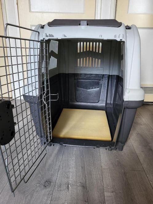 transportbox hond, Dieren en Toebehoren, Transportboxen, Zo goed als nieuw, Ophalen