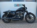 Harley-Davidson SPORTSTER IRON XL 883 N (bj 2020), Chopper, Bedrijf, 883 cc, Handvatverwarming
