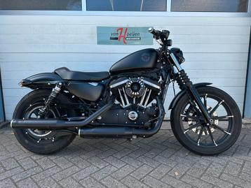 Harley-Davidson SPORTSTER IRON XL 883 N (bj 2020) beschikbaar voor biedingen