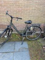 Dames fiets pointer noflik ride, Gebruikt, Versnellingen, 56 cm of meer, Ophalen