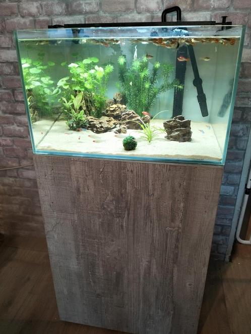 Mooi aquarium helemaal compleet 1 jaar oud, Dieren en Toebehoren, Vissen | Aquaria en Toebehoren, Zo goed als nieuw, Gevuld zoetwateraquarium