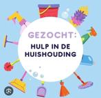 Schoonmaakster gezocht!, Overige vormen, Vanaf 1 jaar, Overige niveaus, Geschikt als bijbaan