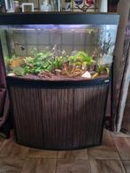 mooie aquarium  te koop zoals op de foto compleet, Dieren en Toebehoren, Vissen | Aquaria en Toebehoren, Ophalen, Zo goed als nieuw
