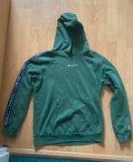Champion trui maat 164, Ophalen, Zo goed als nieuw, Trui of Vest