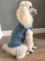 KOUD? Warme trui Hondenkleding Chihuahua Pup Pom Dwergkees, Dieren en Toebehoren, Ophalen of Verzenden, Nieuw, Hondentrui